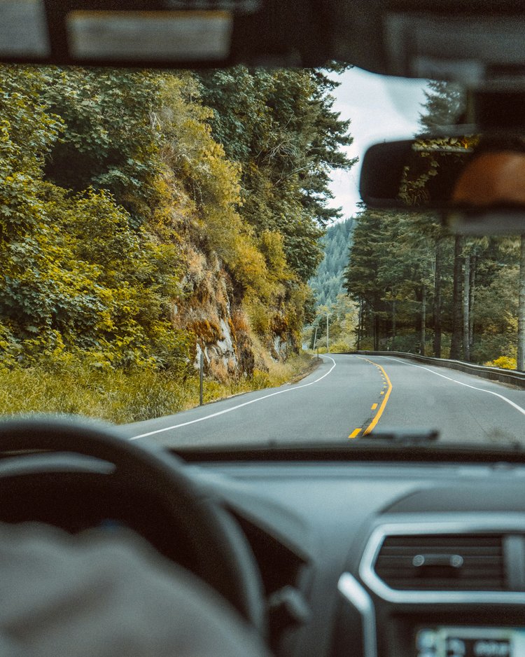 Außergewöhnliche Veranstaltungen im Jagdhof Blick aus einem Auto auf eine kurvige Straße mit Bäumen auf beiden Seiten