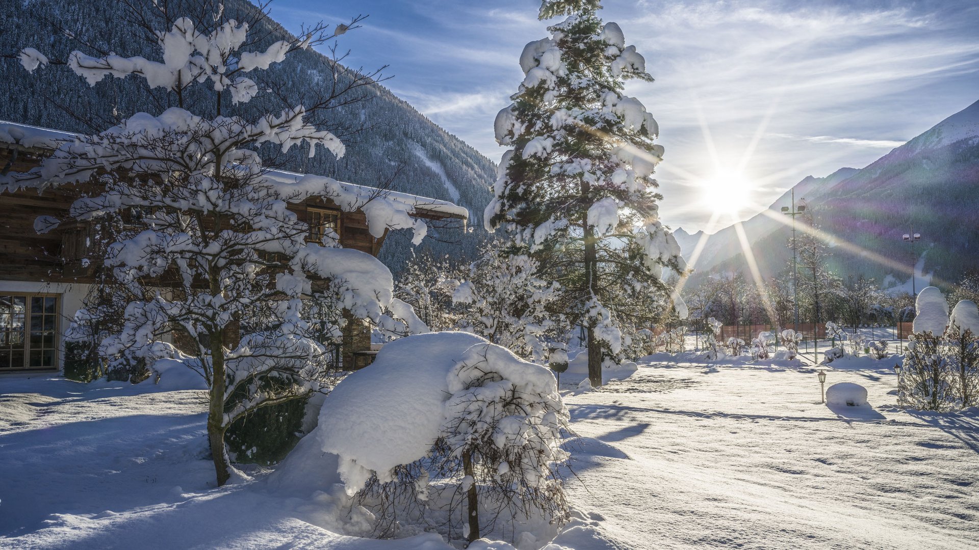 Willkommen im einzigen 5-Sterne-Hotel im Stubaital! Sonnenaufgang über schneebedecktem Wintergarten mit Bäumen und Bergen