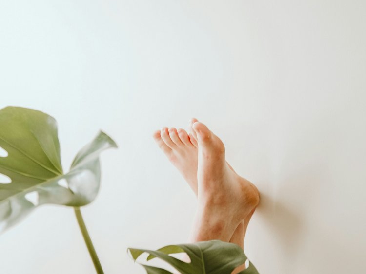 On our way to a sustainable hotel in Austria Feet on wall with green monstera leaves in the foreground