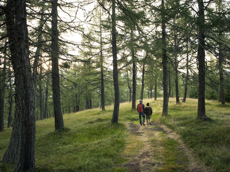 On our way to a sustainable hotel in Austria Two hikers with backpacks walking on forest trail in daylight